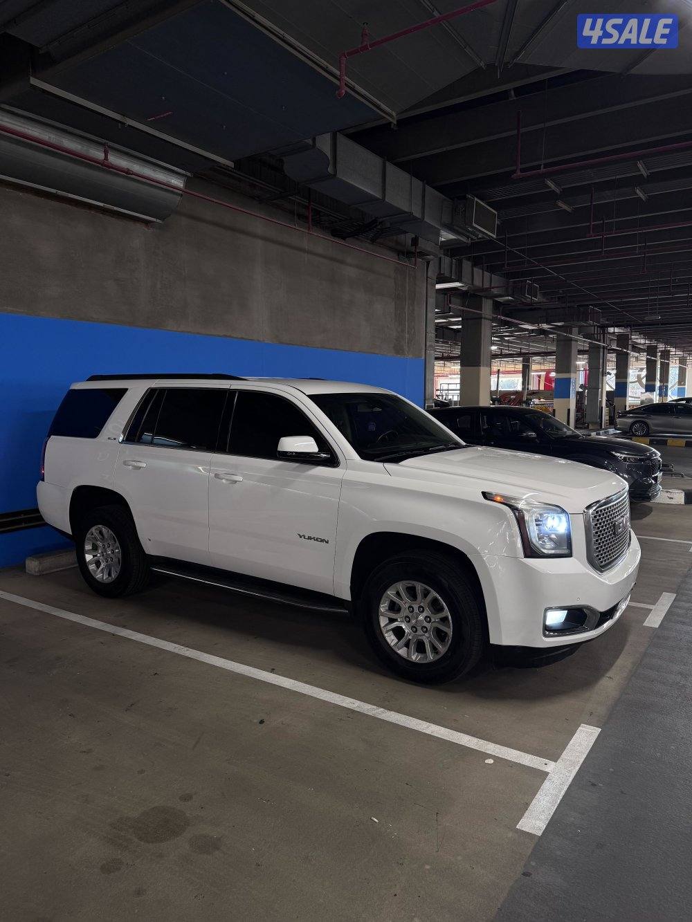 يوكن SLE 2015 صبغ الوكالة3