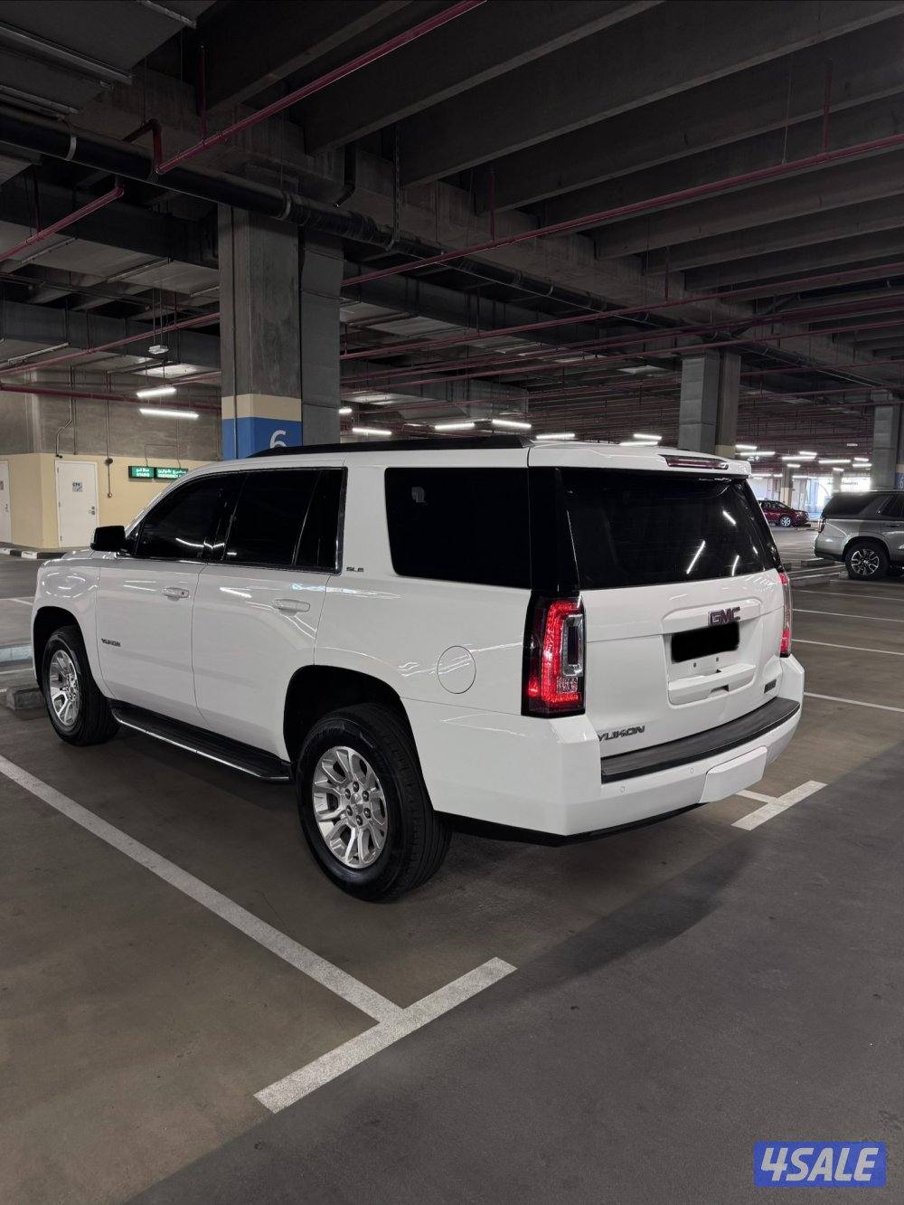 يوكن SLE 2015 صبغ الوكالة4