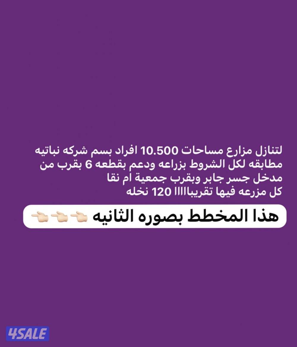 لتنازل مزارع افراد شركات نباتيه بقطعه 6 كلها نخل1