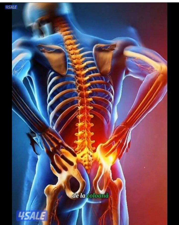 physiotherapy/medical massage/ciropratic treatment/spa5