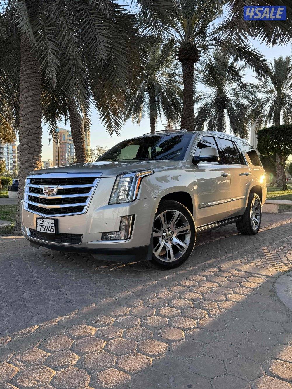 صباح السالم0