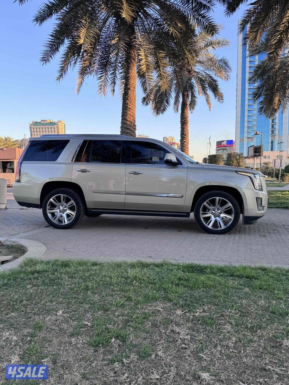 صباح السالم2