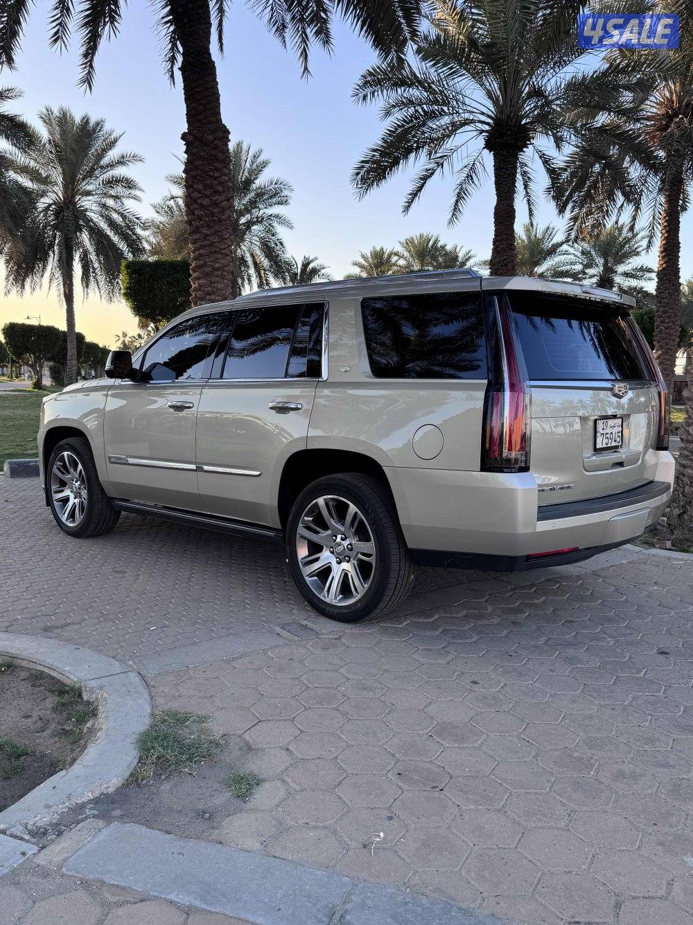 صباح السالم3