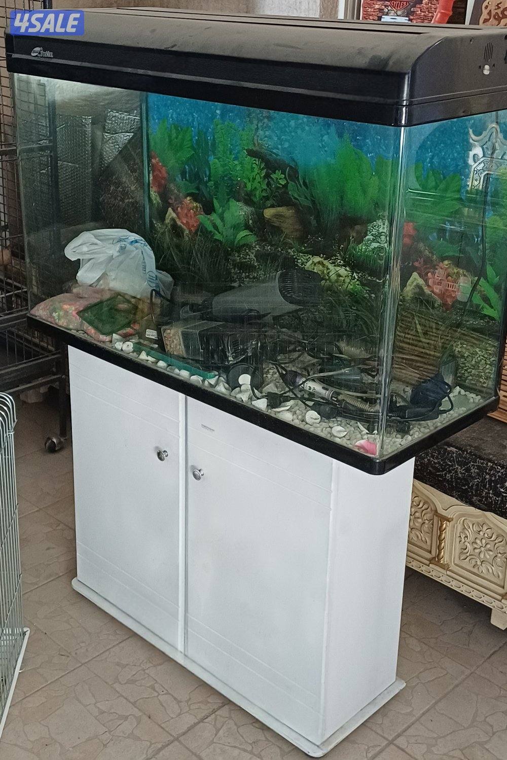 للبيع حوض سمك كبير مع كامل اغراضه1