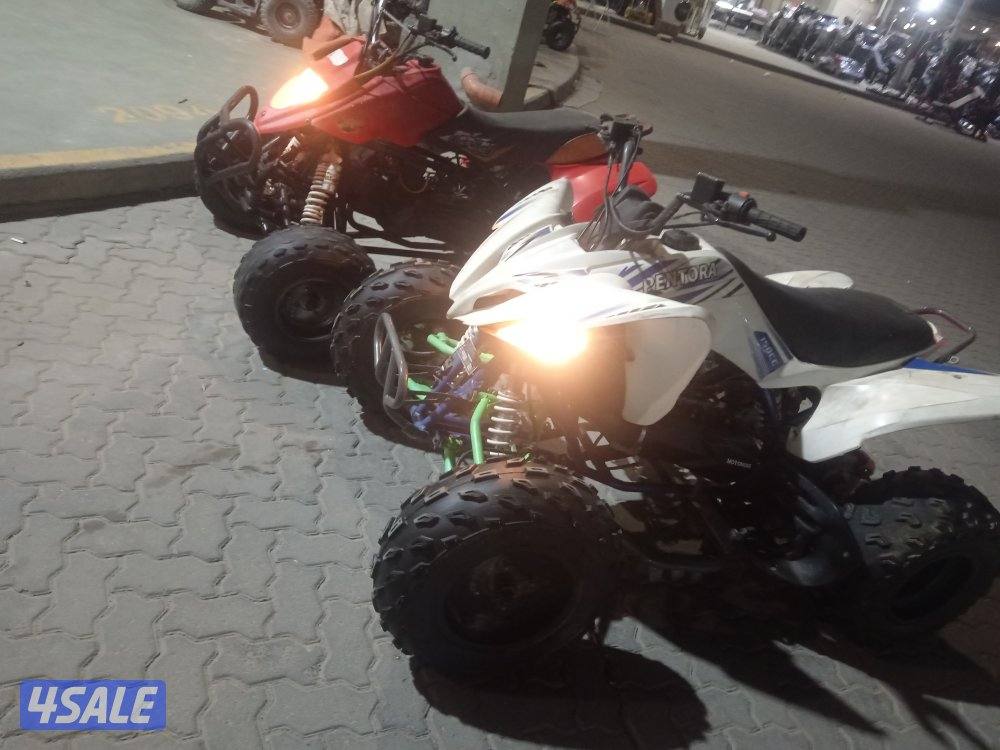 شغالين ممتازين0