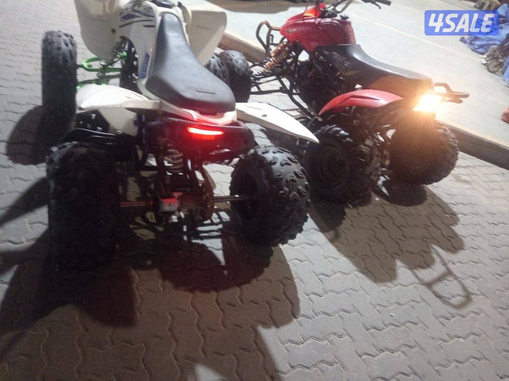 شغالين ممتازين2