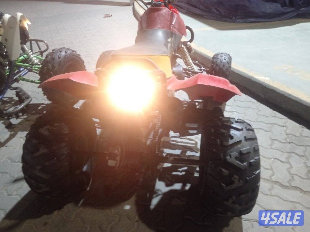 شغالين ممتازين4