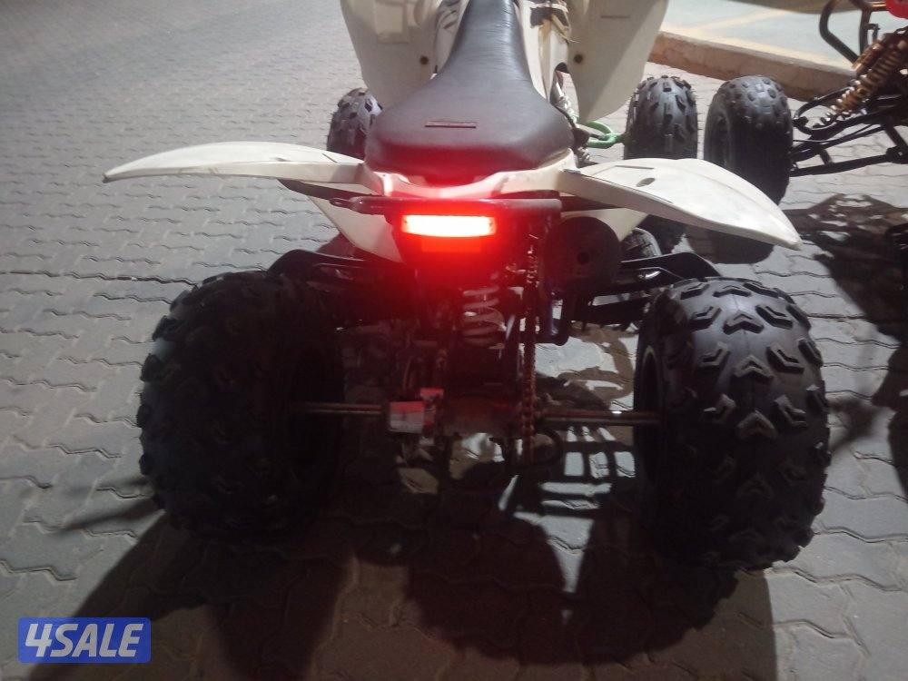 شغالين ممتازين6