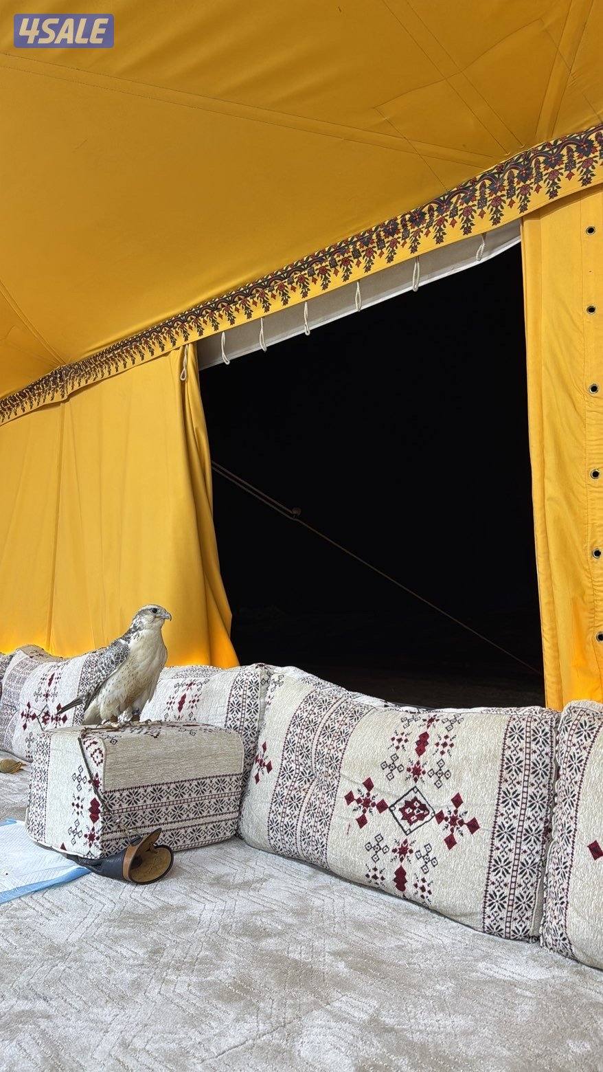 للبيع جير بيور0