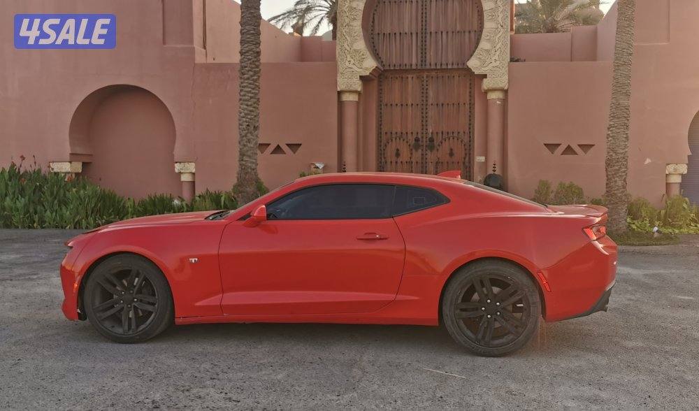 للبيع او البدل بكورفيت1