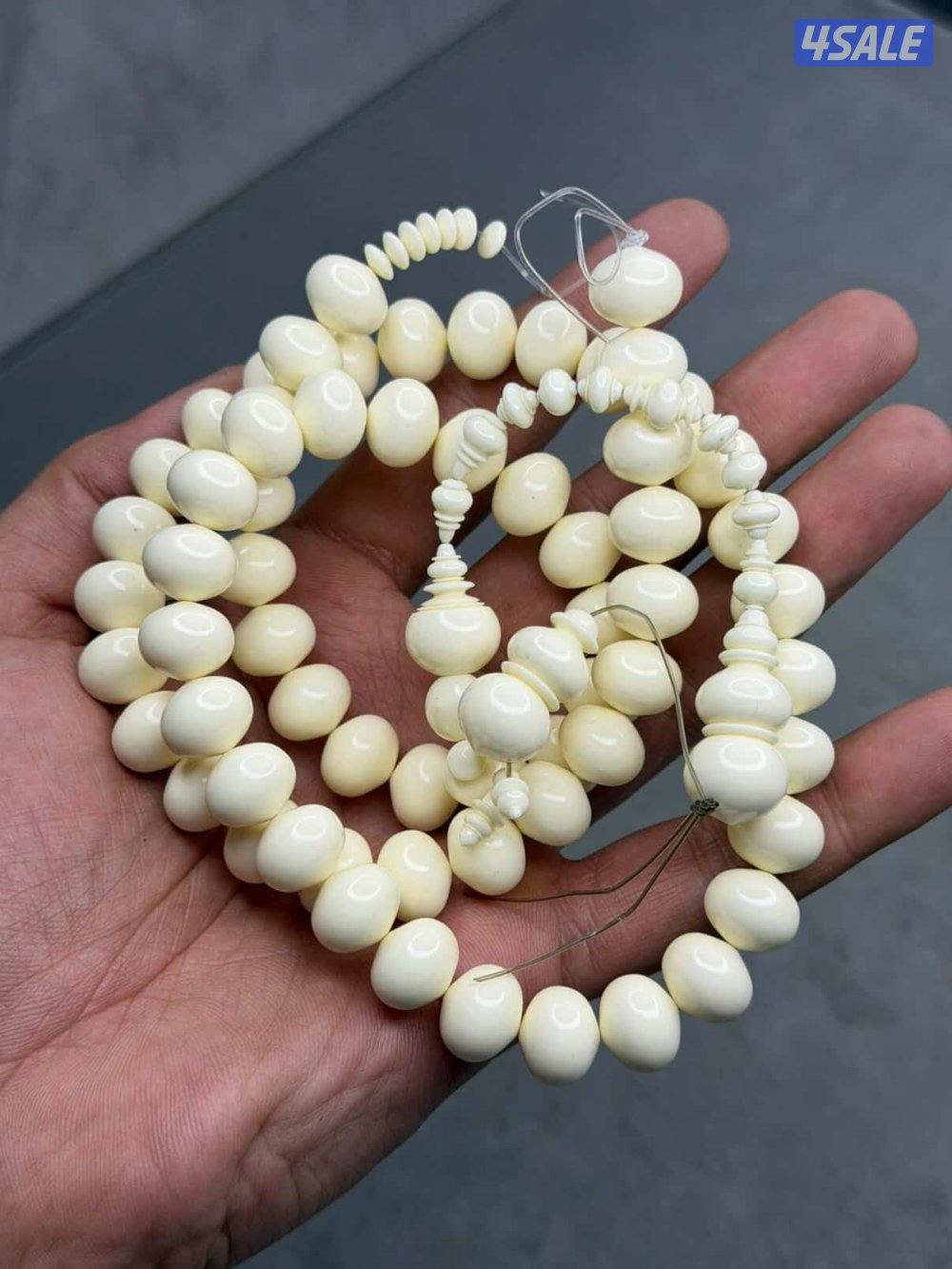 موسى عبدالغني0