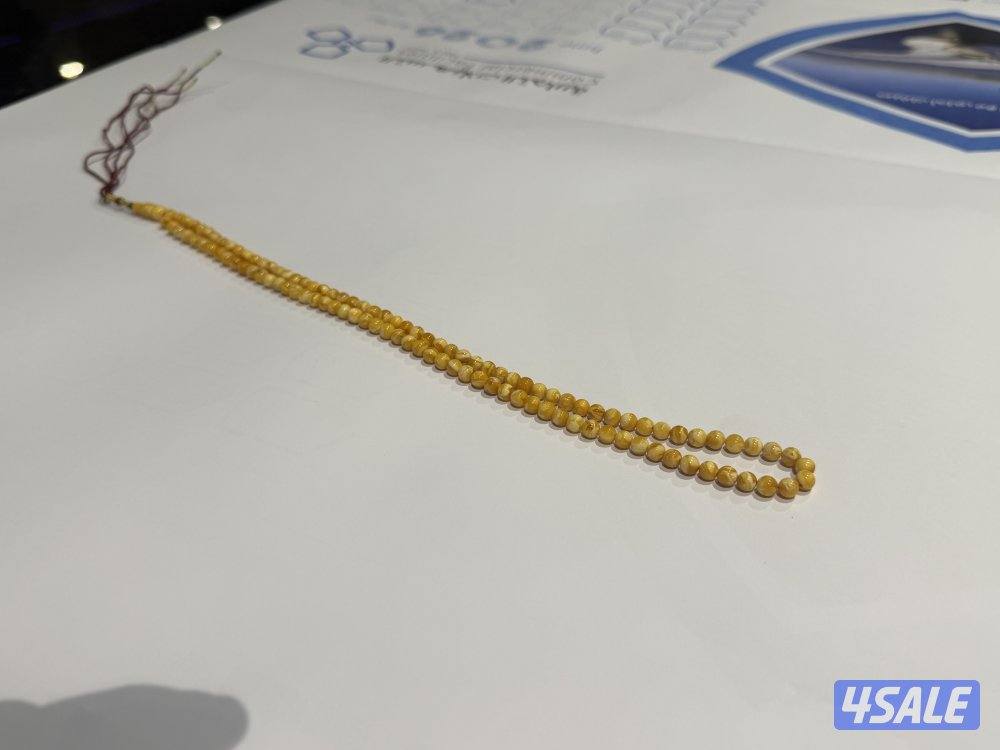 للبيع كهرب بولندي شجري ناعم السعر 2501