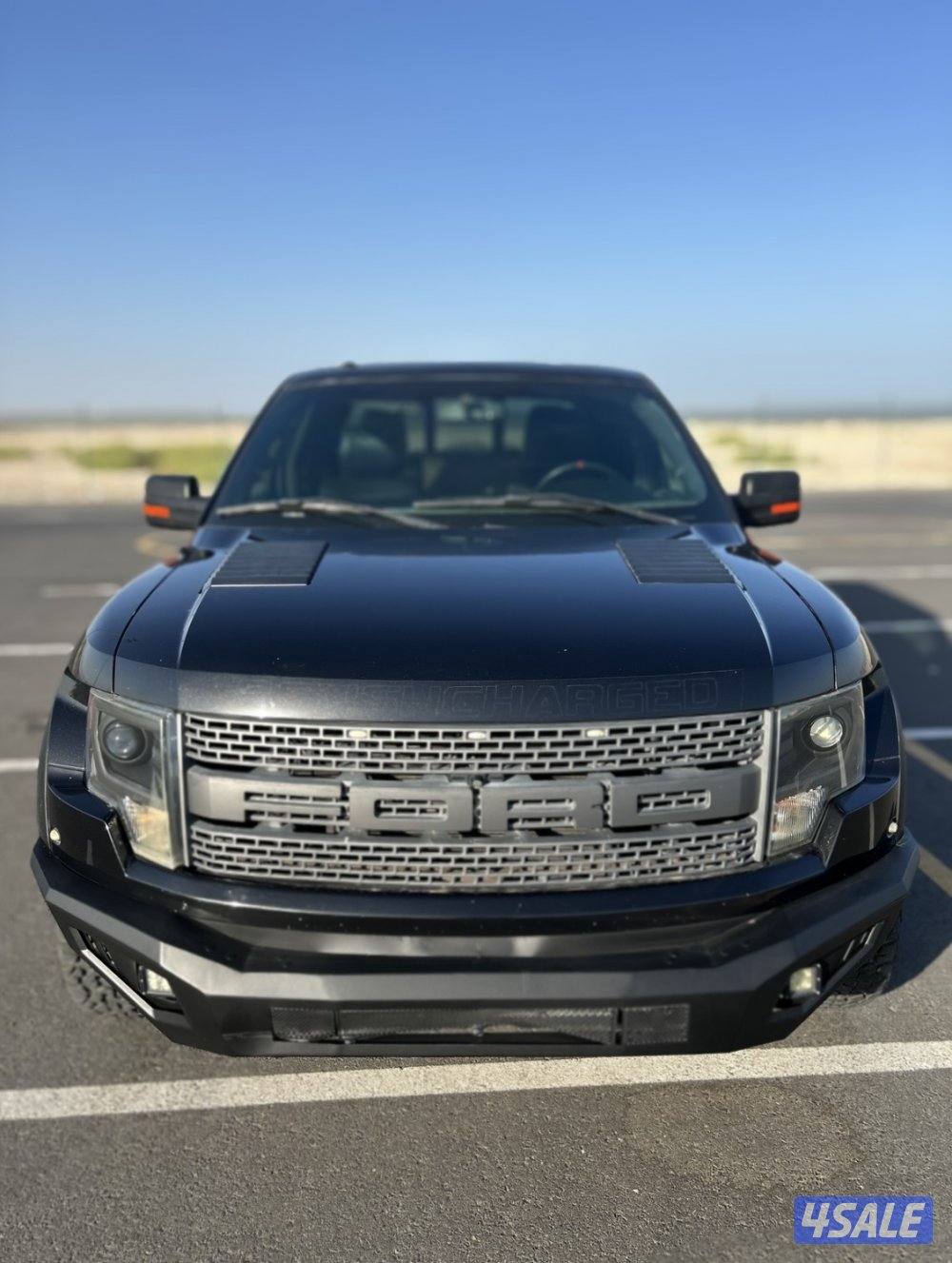 Raptor roush0