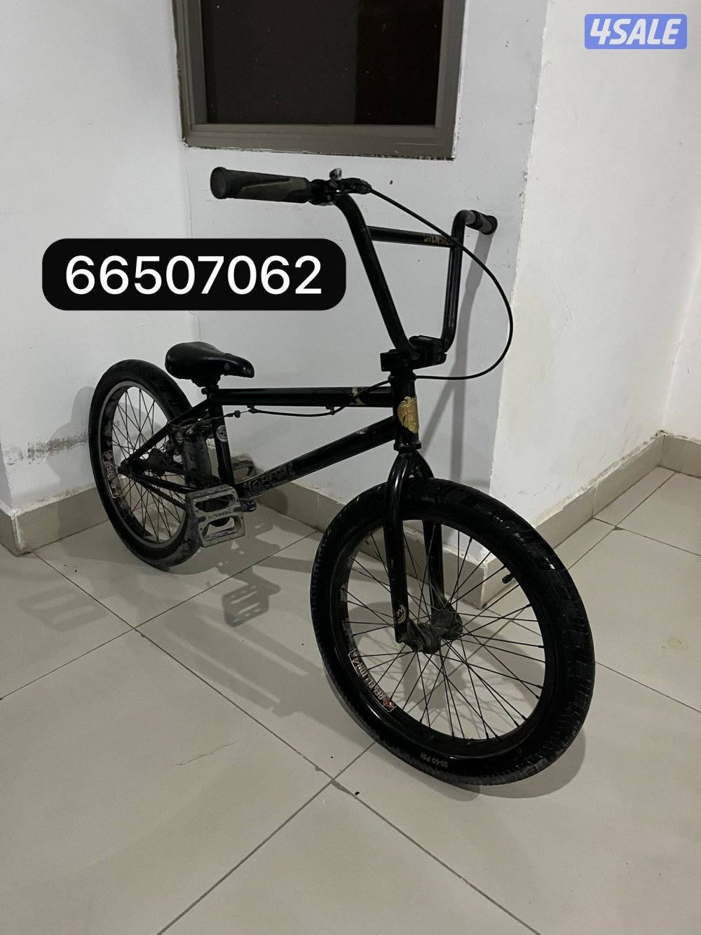 قاري ستولن اصلي1