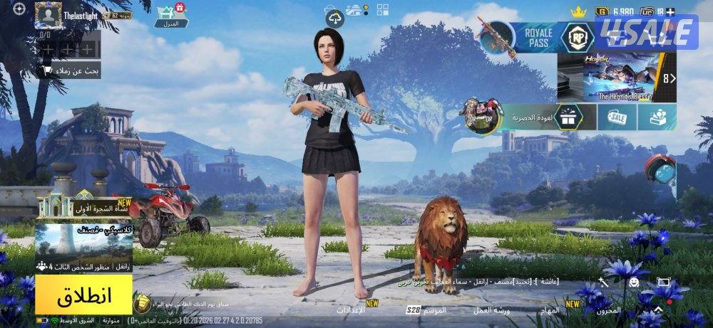 حساب ببجي للبيع3