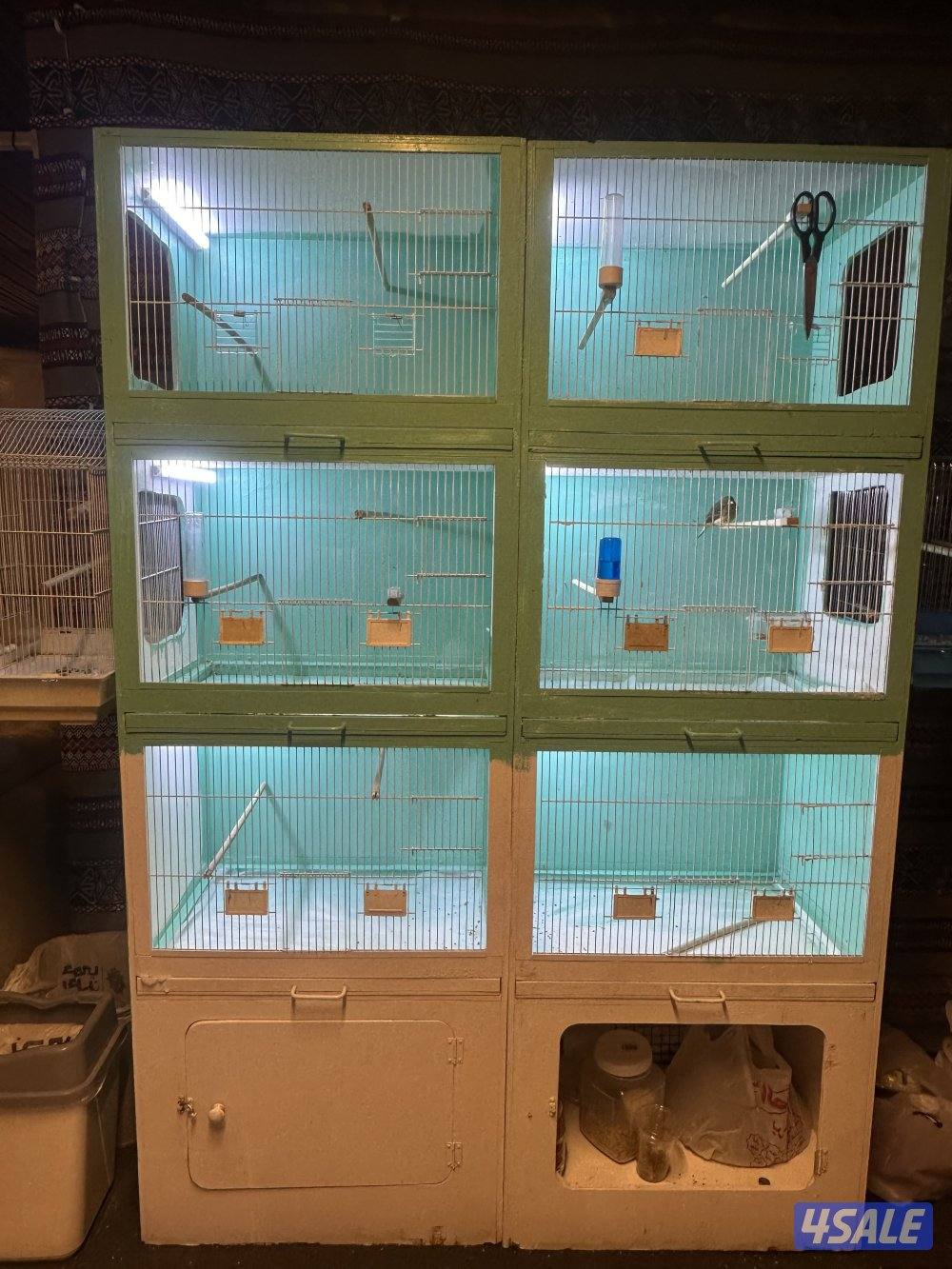 كناري تمبرادو ويه خاناتهم2