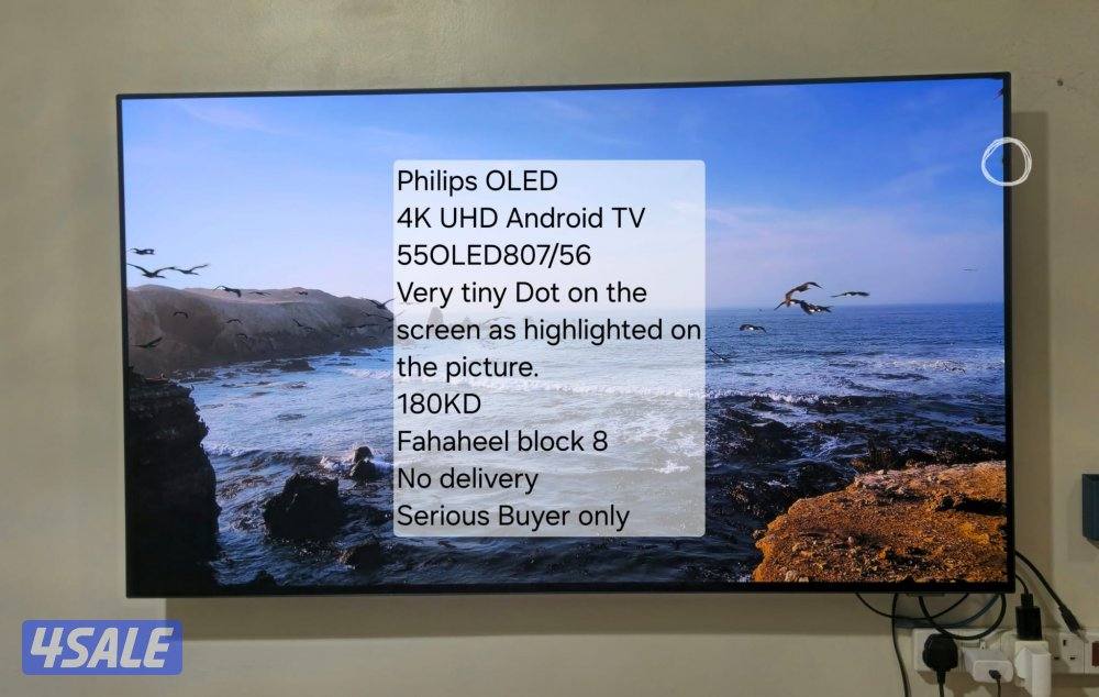Philips Oled 55 inch TV2