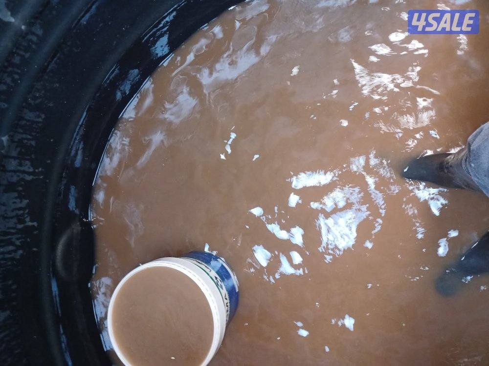 غسيل وتصليح التوانكي4