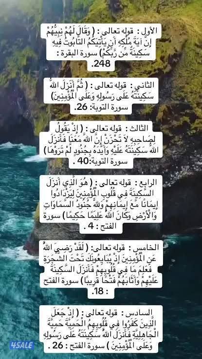 اطلب وظيفه مصري نوبي0