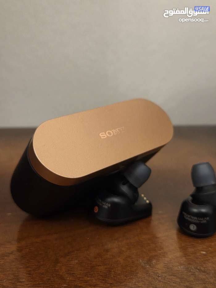 SONY Noise Cancelling Earbuds0