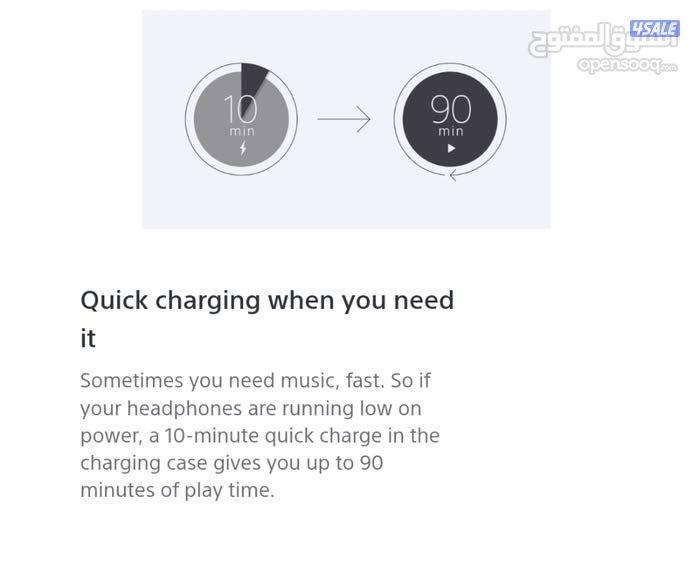 SONY Noise Cancelling Earbuds5