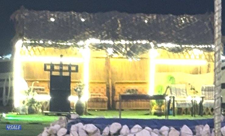 للبيع عريش + اغراضه0