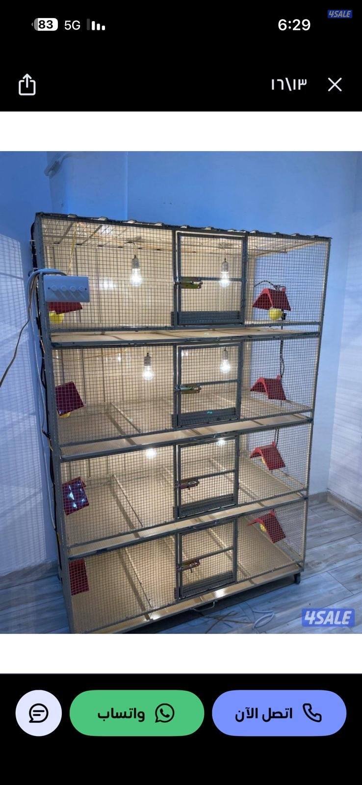 حضانة صيصان عالطلب16