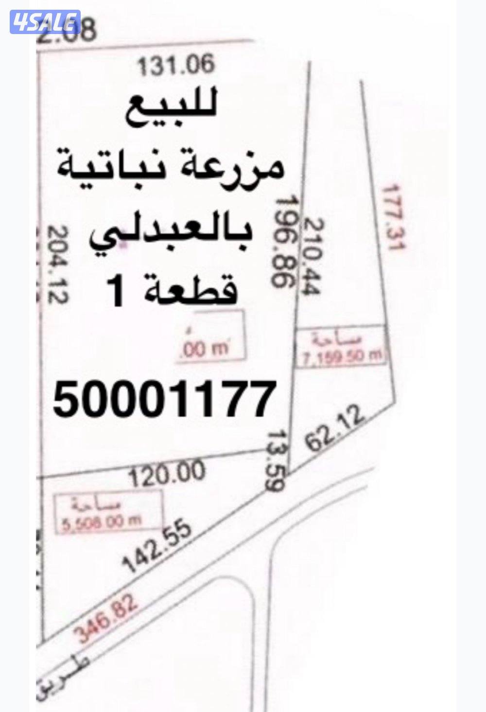 مزرعة نباتية4