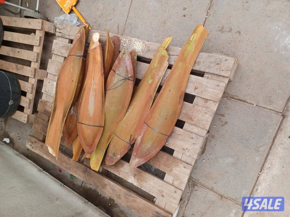 زراع اهوازي1