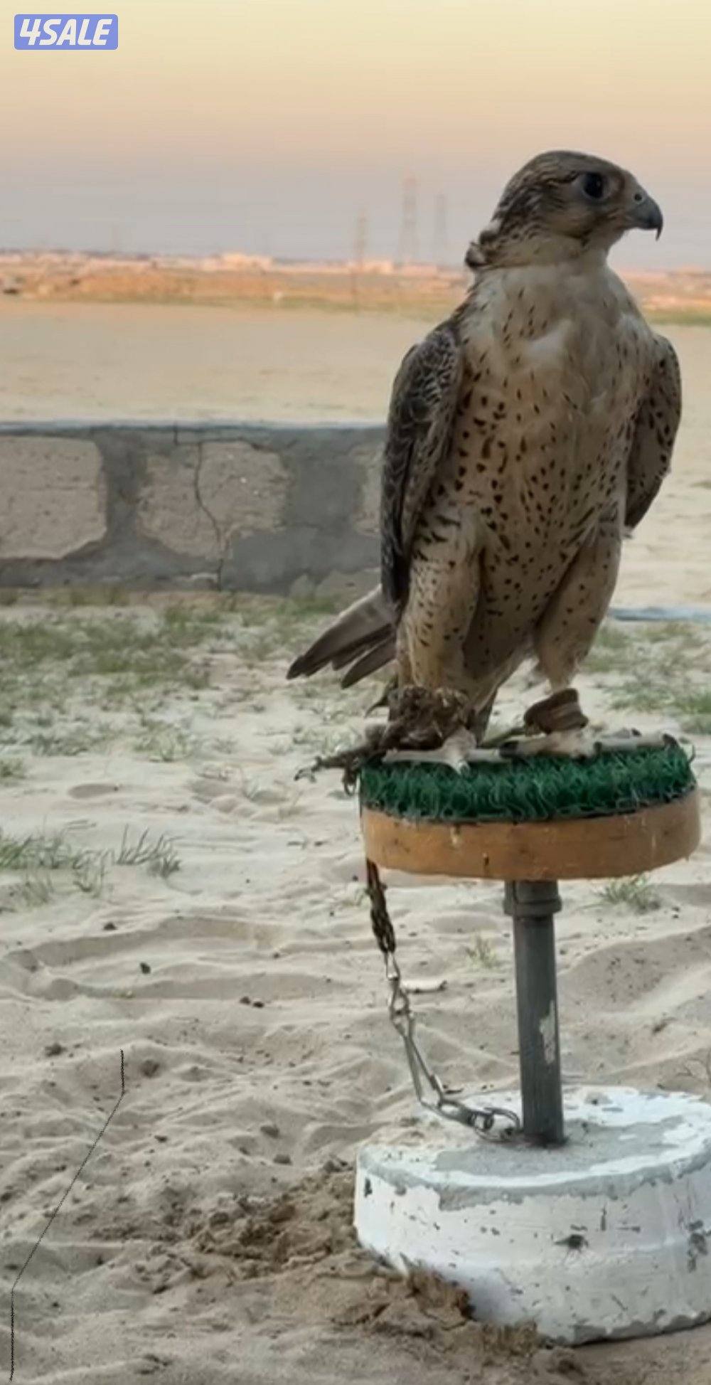 للبيع تبع جير3