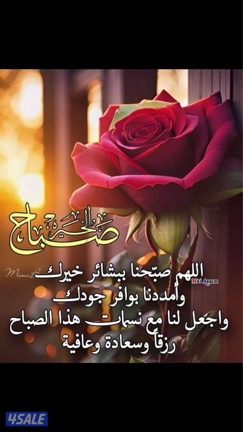 لدينا قسايم في جابر الاحمد ق 50