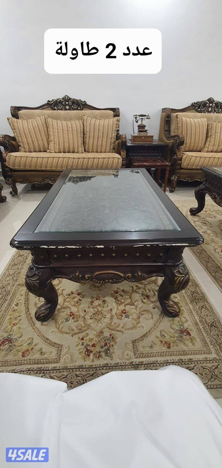 غرفة جلوس و سفرة2