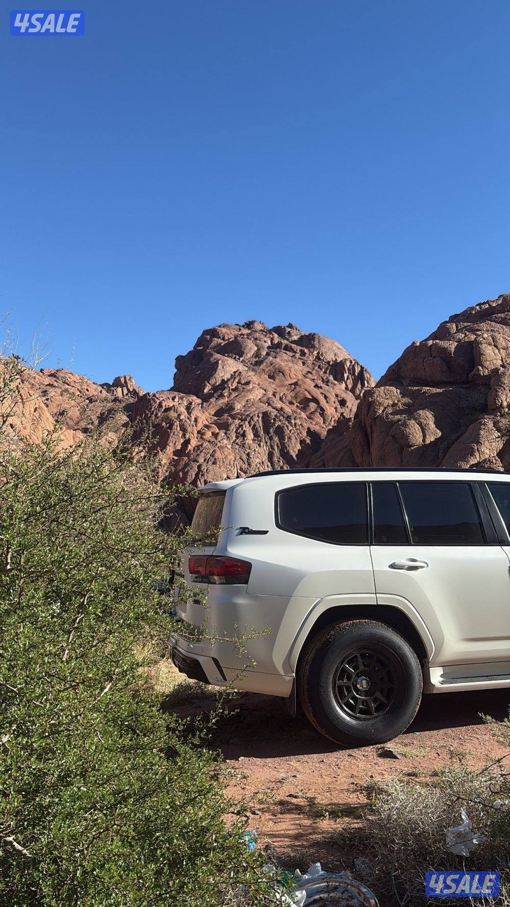 رنقات برايد 2025 مع شواهين راكبين صارلهم شهرين4