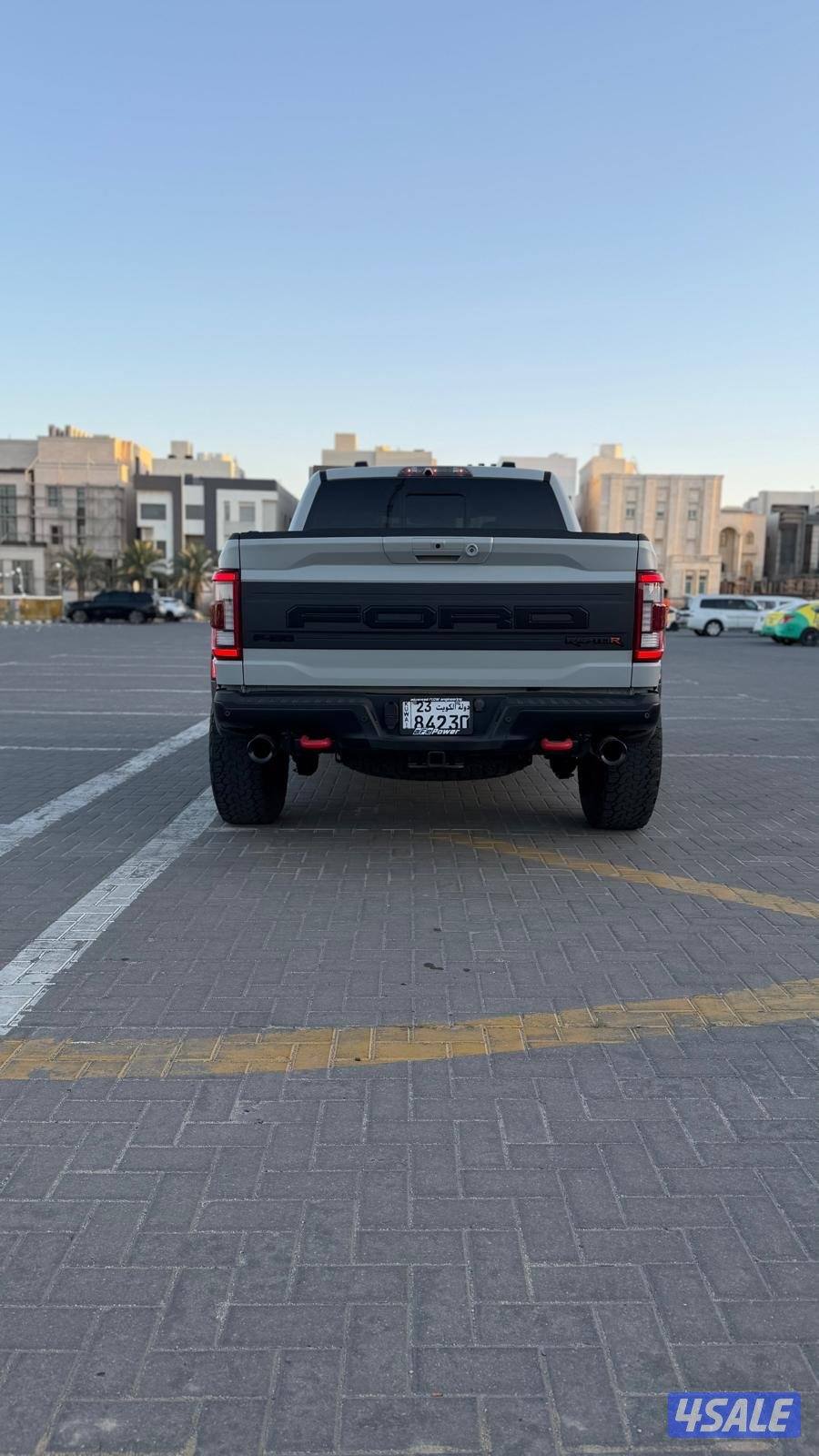 فورد رابتر (R)6