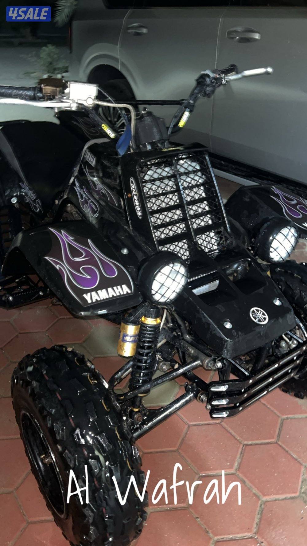 بانشي نظيف للبيع3