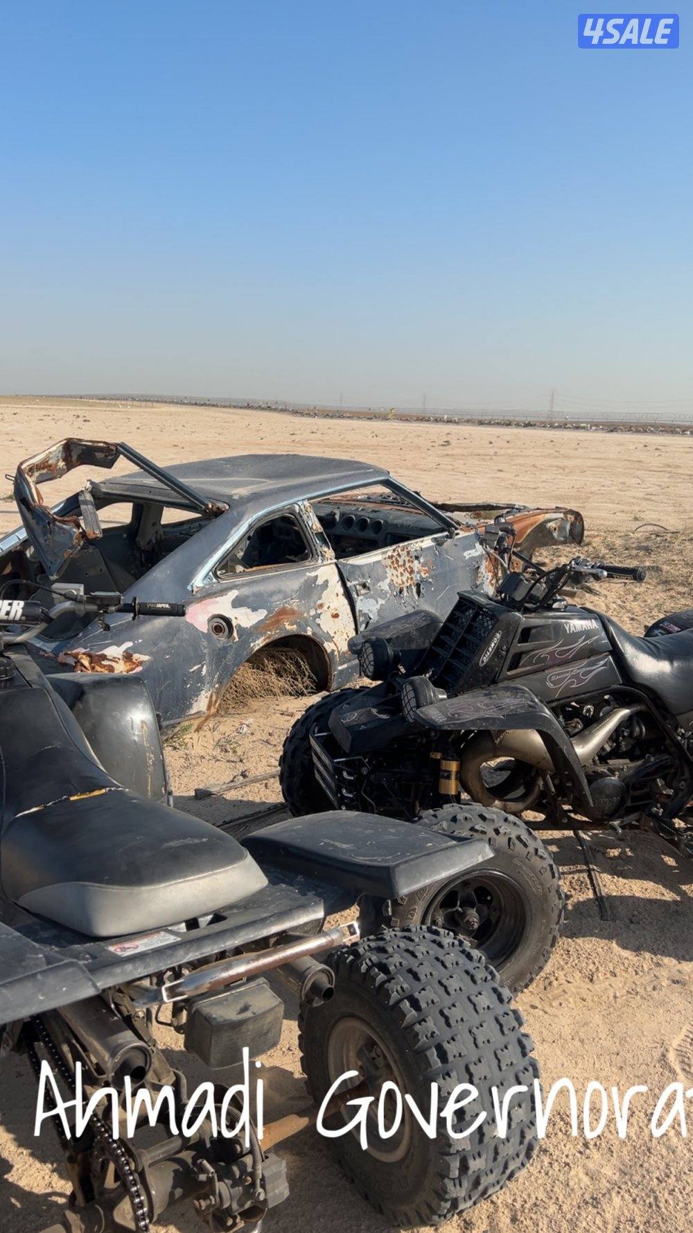 بانشي نظيف للبيع6