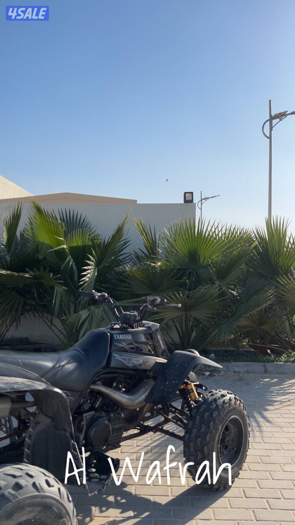 بانشي نظيف للبيع7