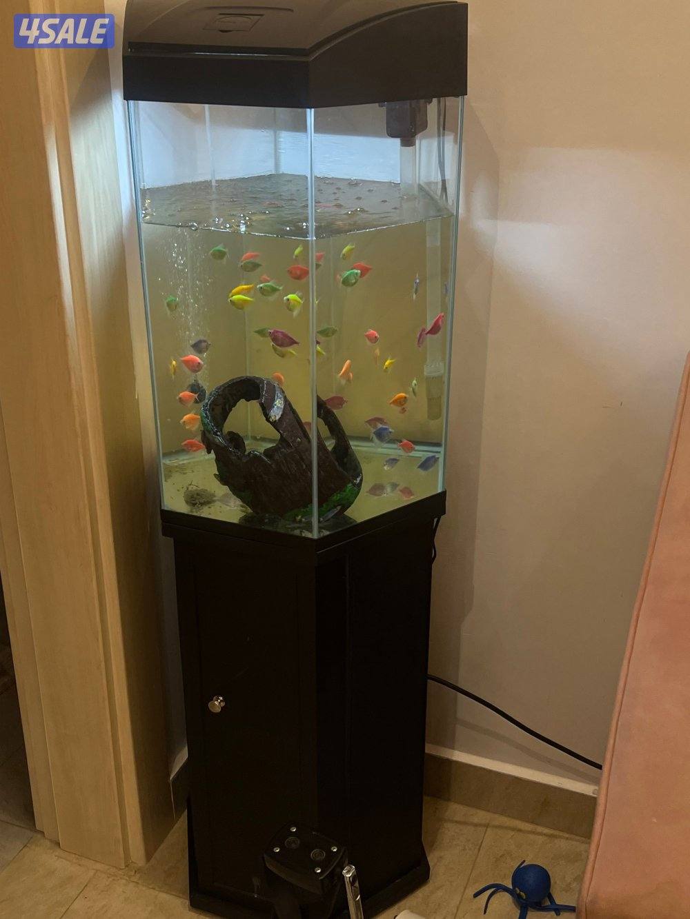 حوض سمك للبيع1