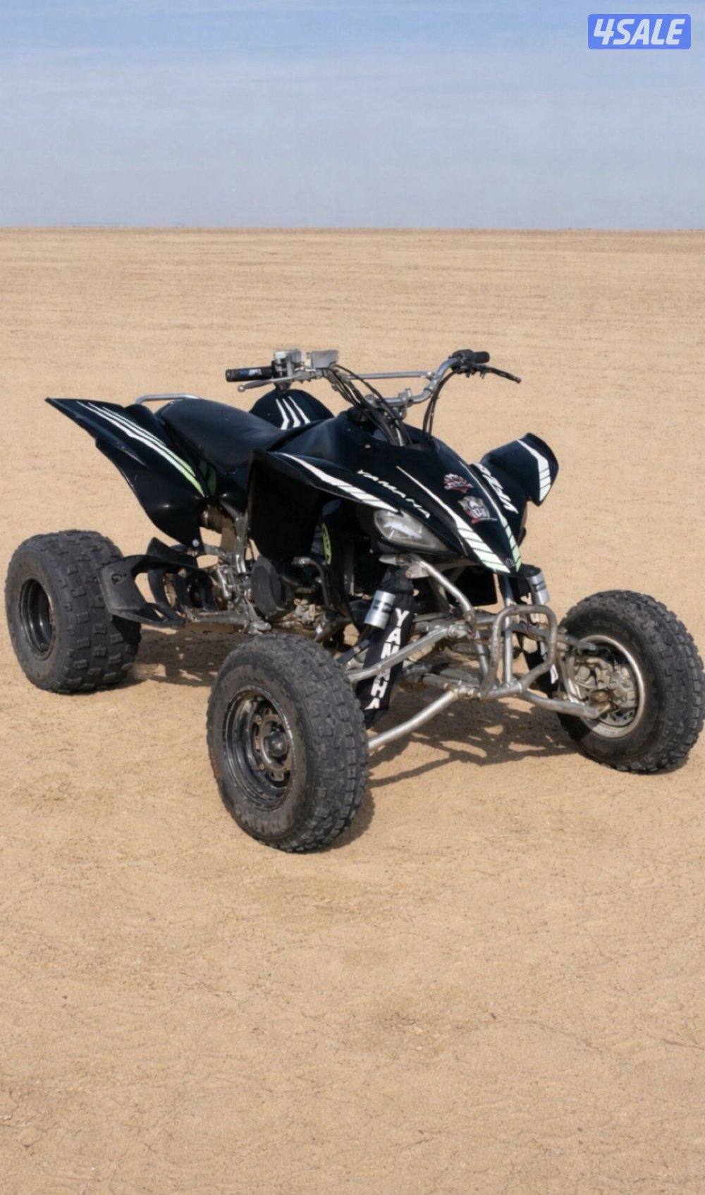 وايفزد ٢٠٠٨3