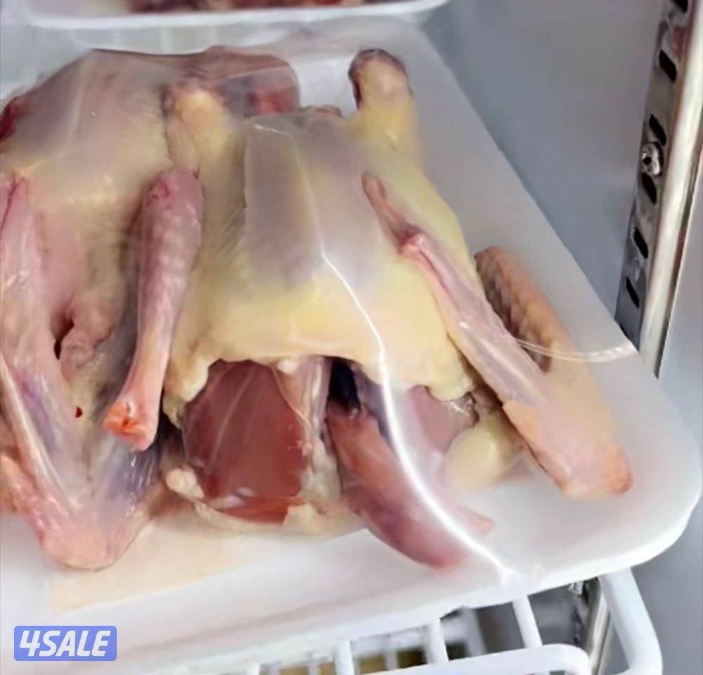 الوفرة قطعة ١ جاخور ١1