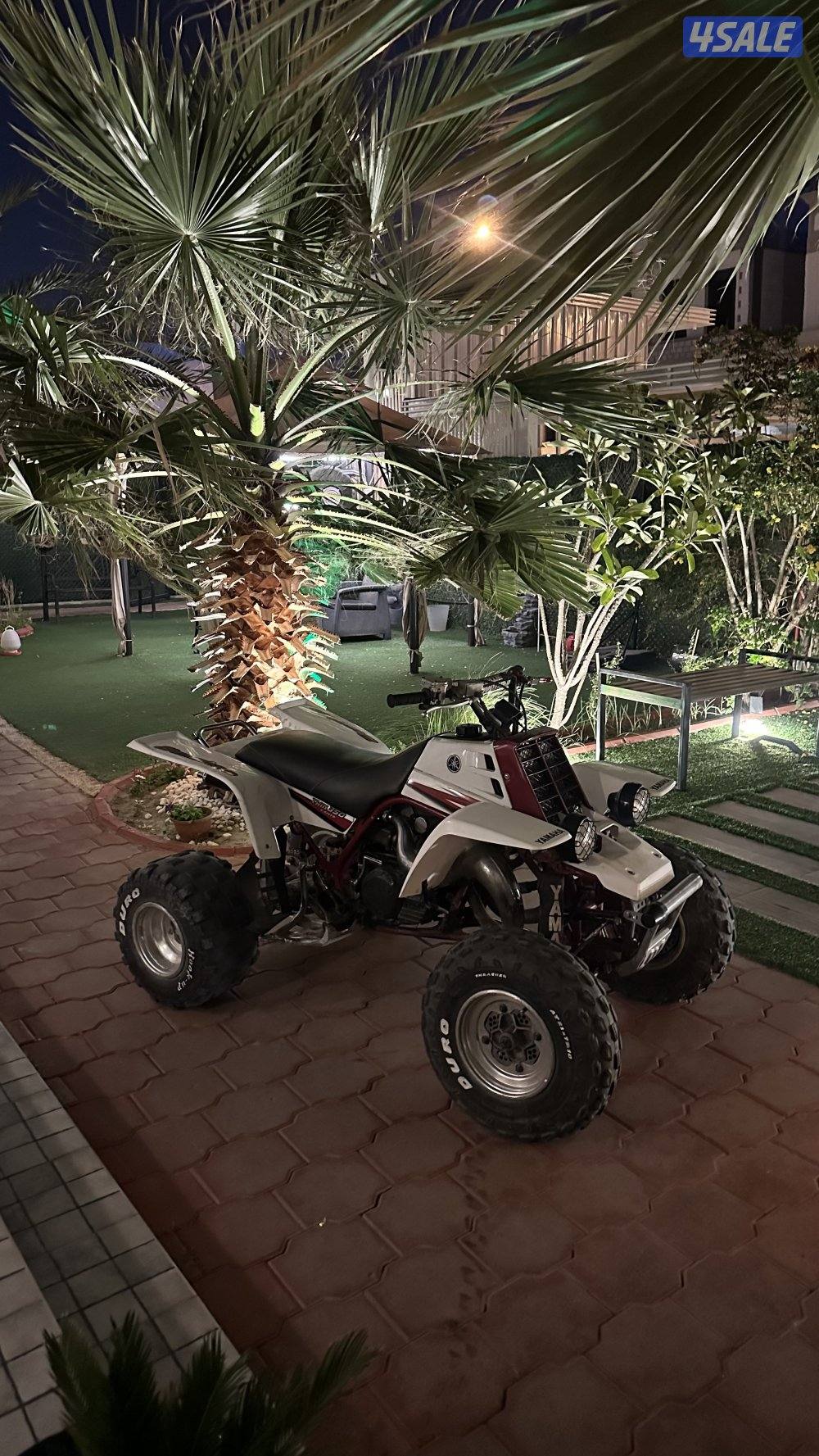 بانشي ٢٠٠٥1