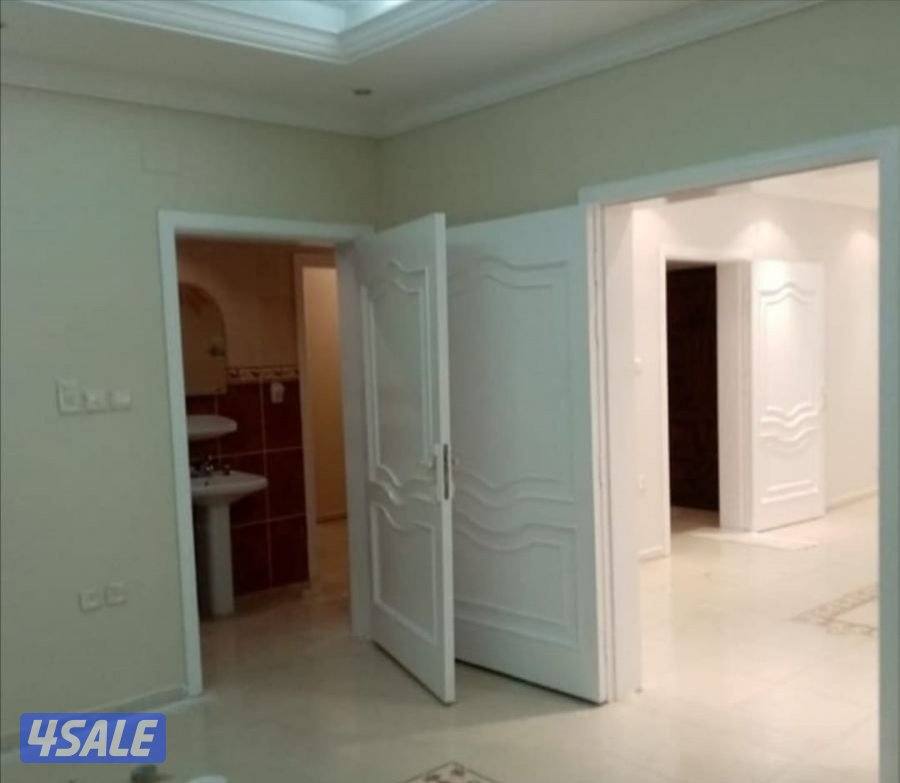 صباغ طوفي بدون رايحه اطالي ناعم وخشن صباغ ناري حديد خشب قواطع جبس بورد10