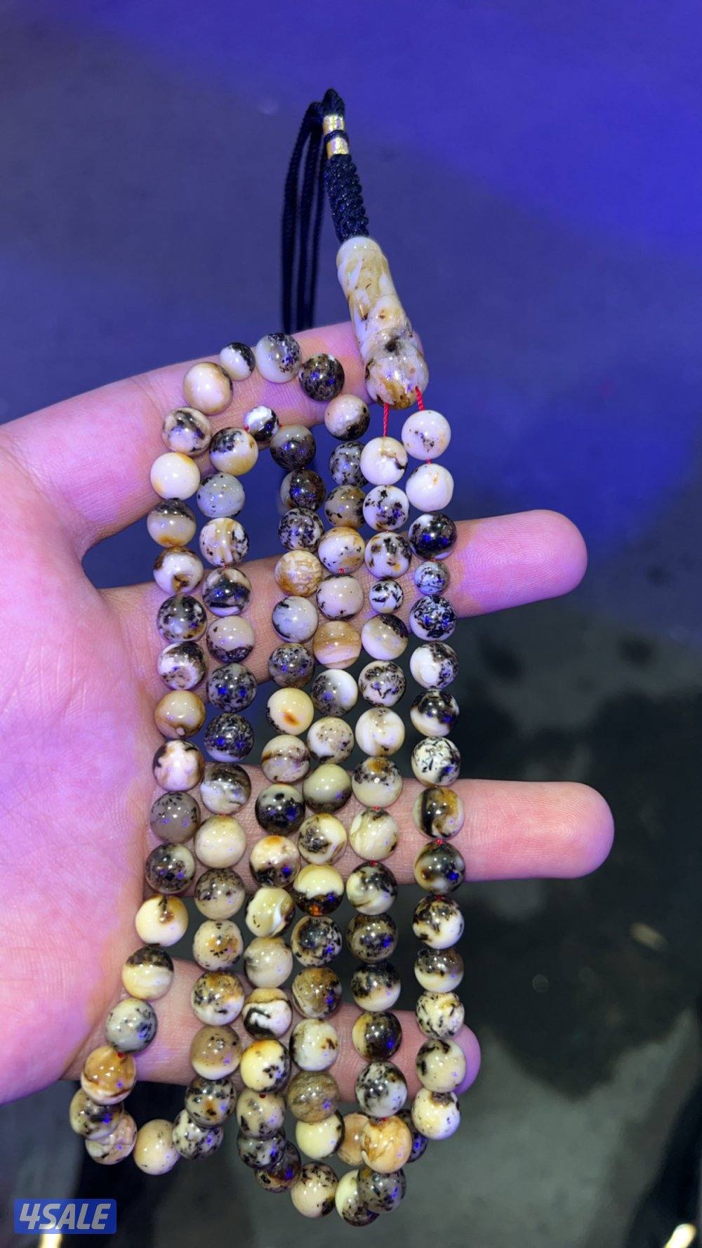 كهرب جبس شؤاب0