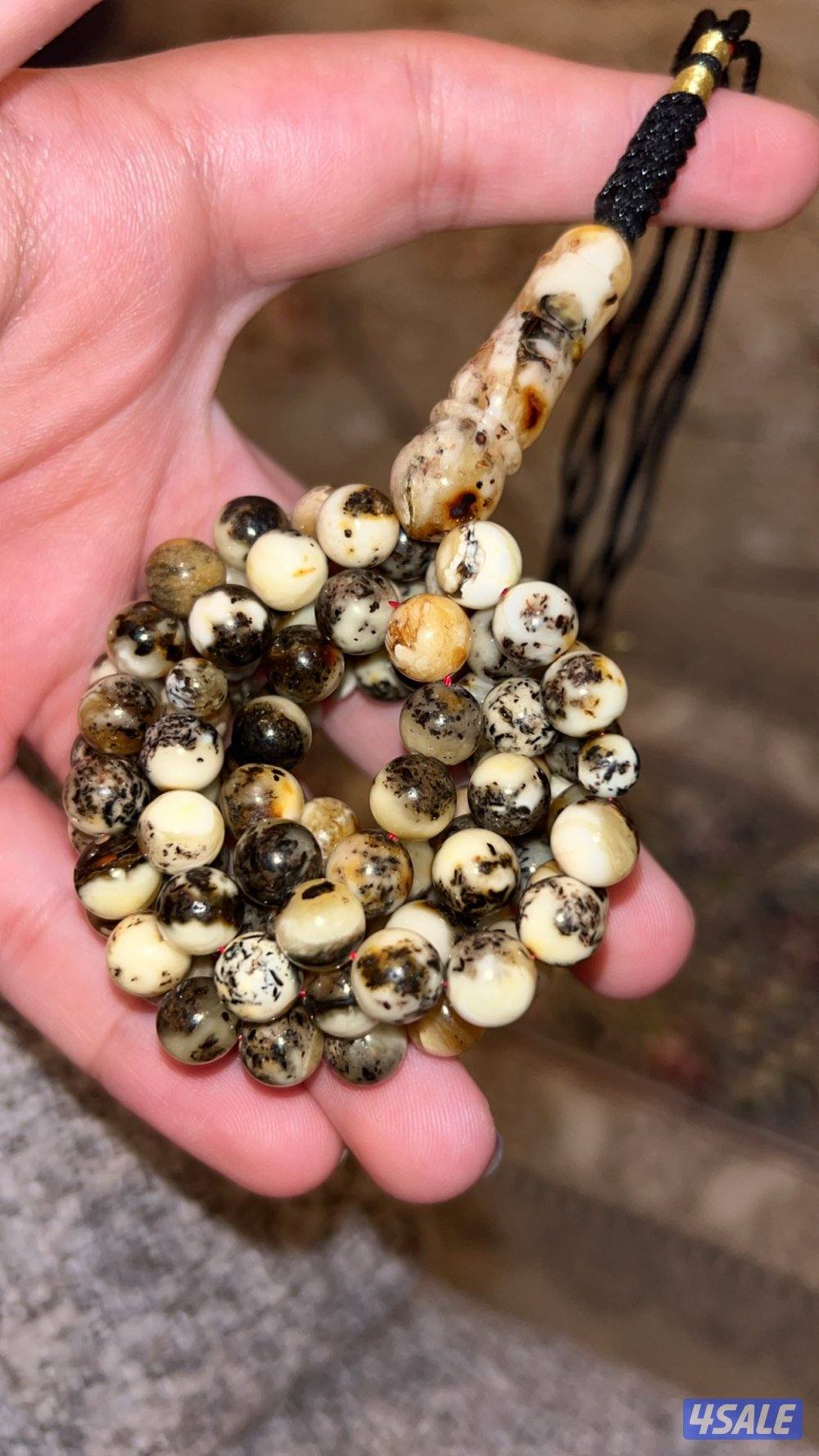 كهرب جبس شؤاب1