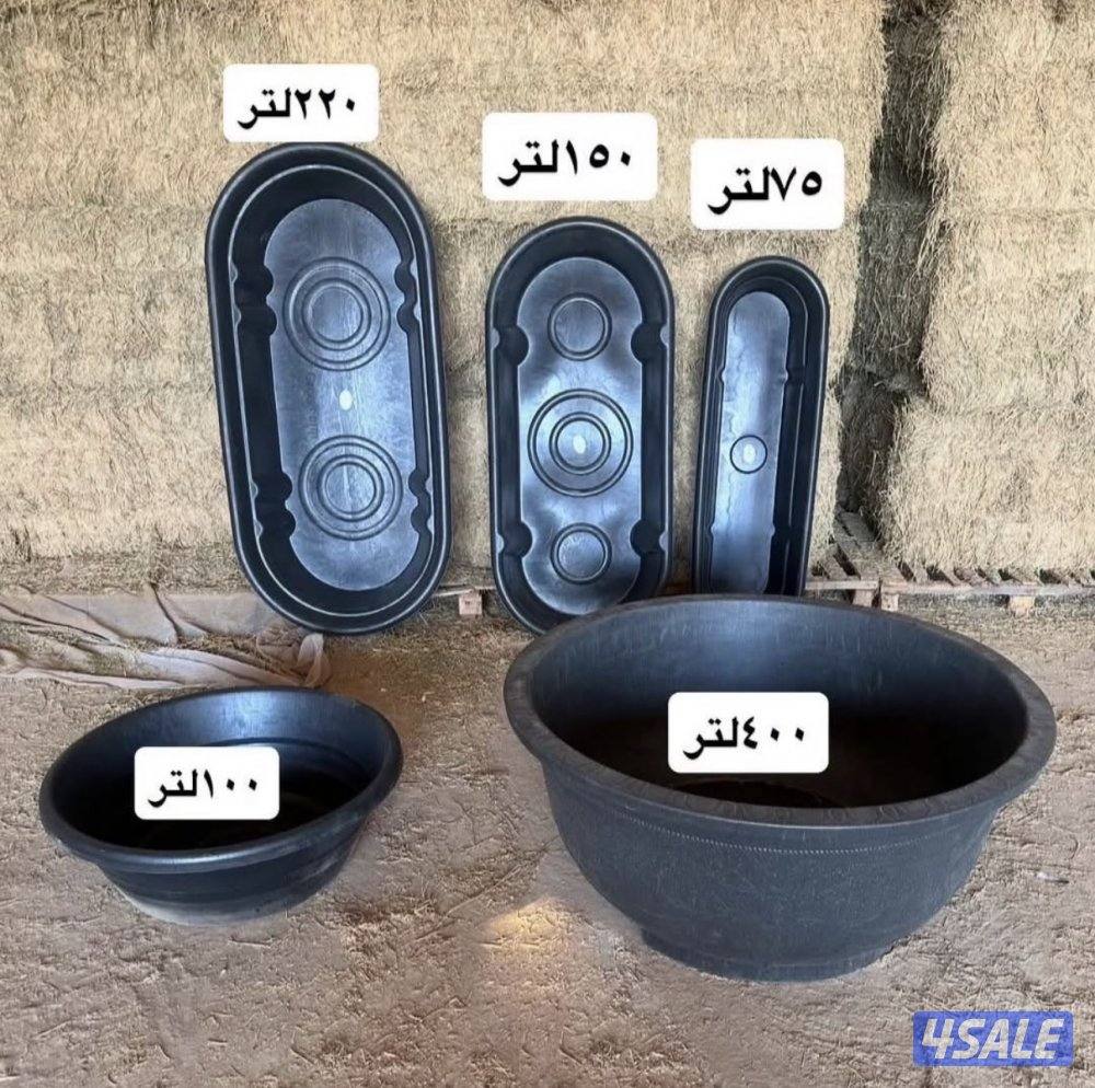 حيضان ابل وغنم0