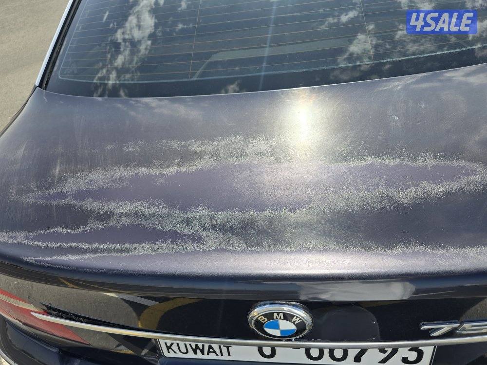 ممشى قليل، الصامل ما اقصر معاه7