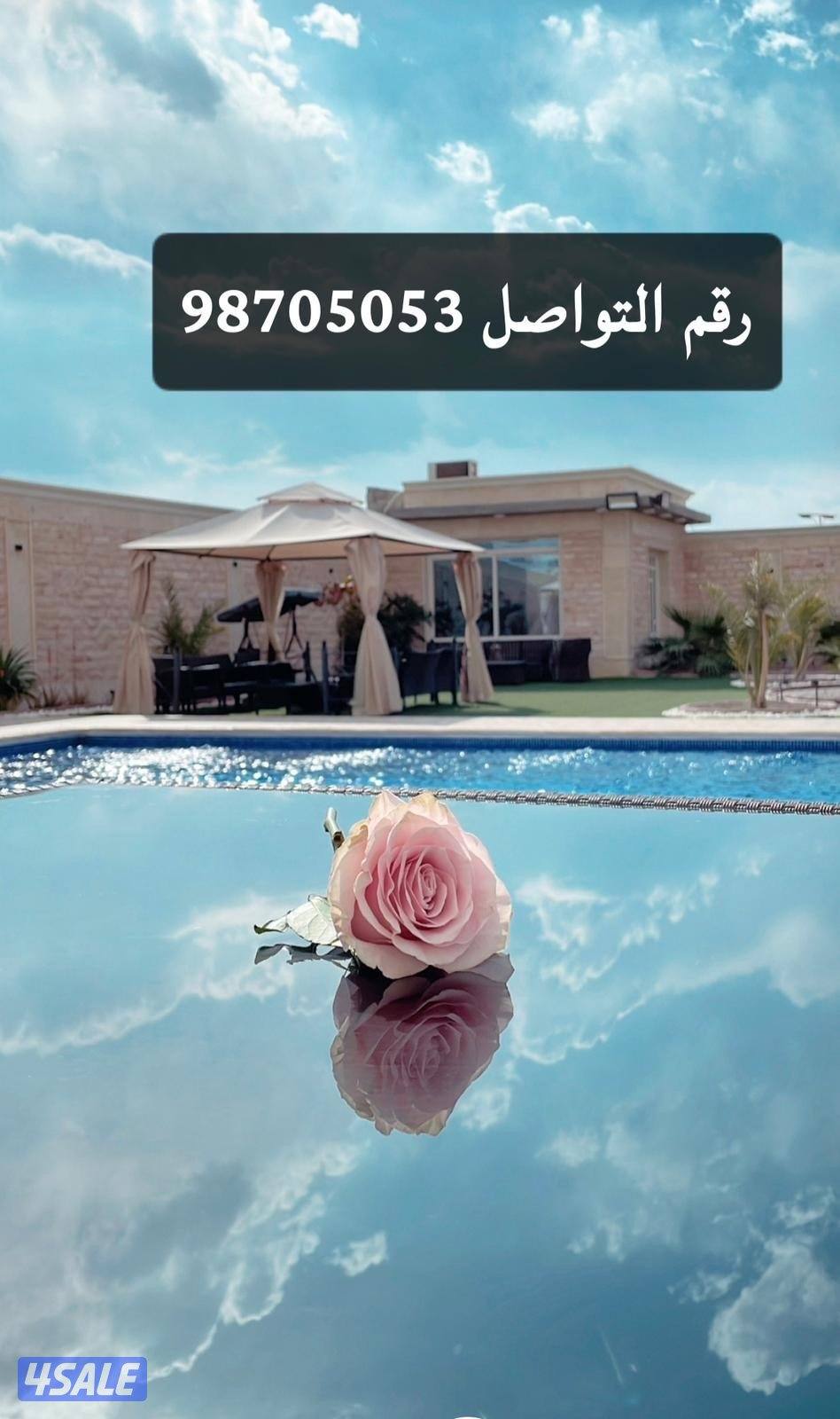 شاليه صف اول المرحله الثانيه قريب من جال بوت عباره عن ٩ غرف رق0