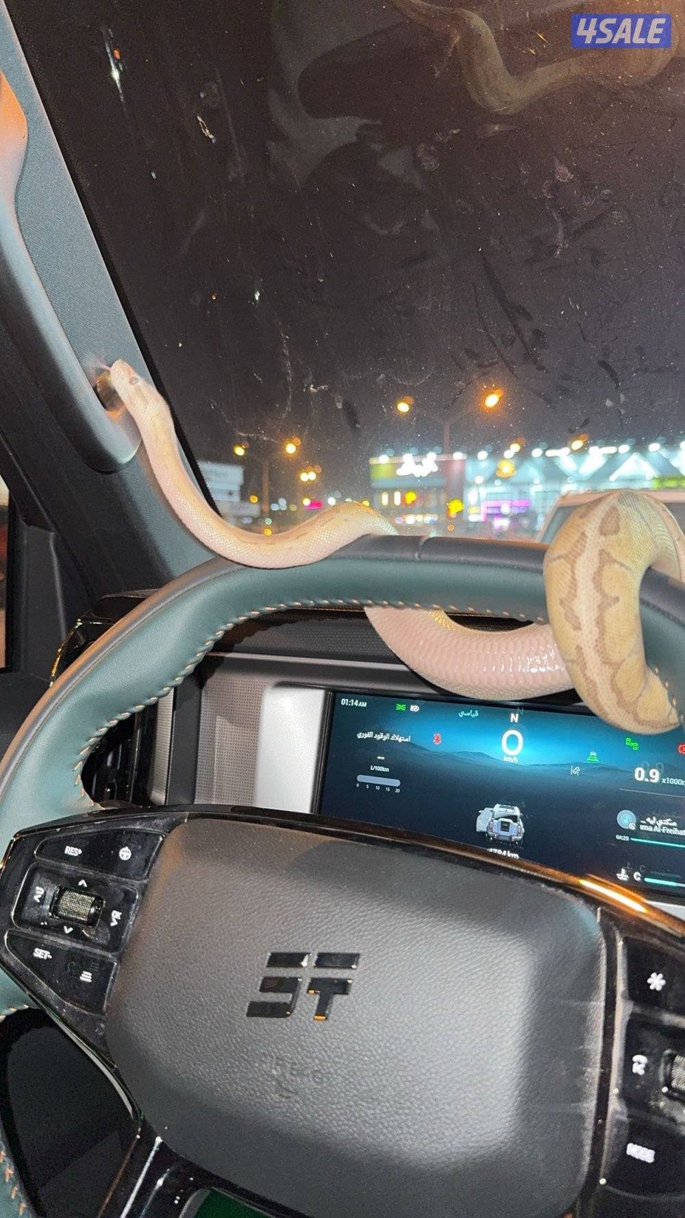 بول بايثون1