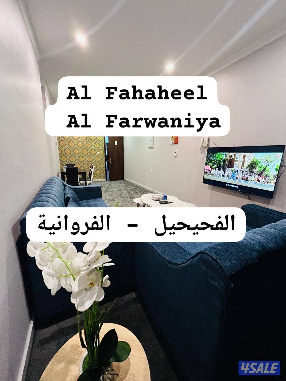 موقف سيارات تحت الأرض، خدمة واي فاي، تلفزيون ذكي، خدمة تنظيف الغرف، غر0