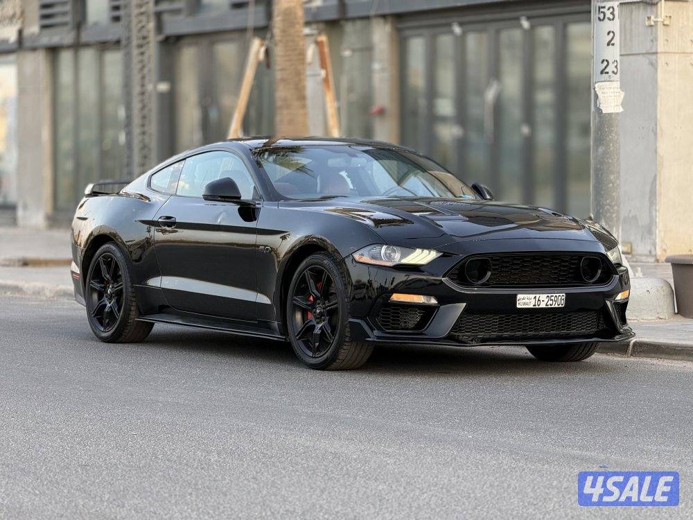 موستنج قير عادي0